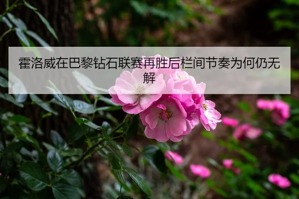 霍洛威在巴黎钻石联赛再胜后栏间节奏为何仍无解