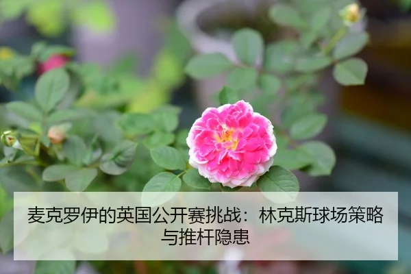 mai-ke-luo-yi-de-ying-guo-gong-kai-sai-tiao-zhan-lin-ke-si-qiu-chang-ce-lve-yu-tui-gan-yin-huan-1-429.jpg