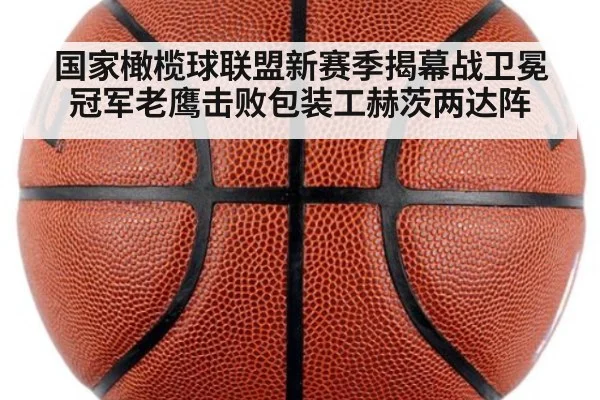国家橄榄球联盟新赛季揭幕战卫冕冠军老鹰击败包装工赫茨两达阵
