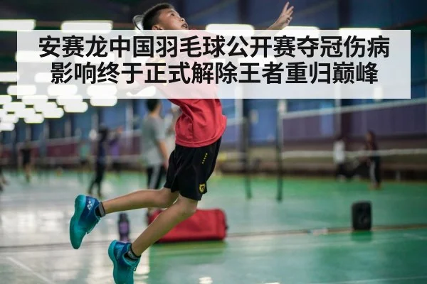 安赛龙中国羽毛球公开赛夺冠伤病影响终于正式解除王者重归巅峰